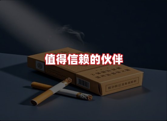 专业团队